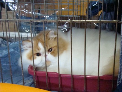 20121021_128 (Expo)